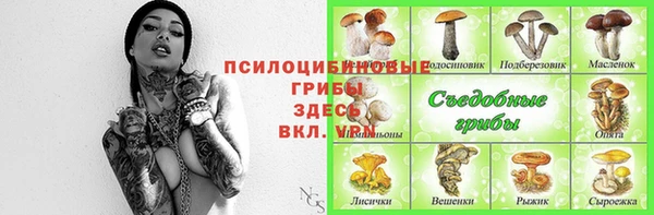 ешки Зеленокумск